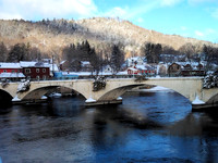 bridge of flowers - winter 01