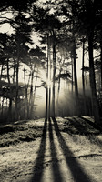 09 - THREE LIGHTS