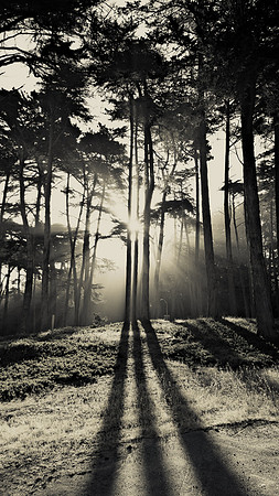 09 - THREE LIGHTS