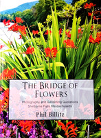 Bridge of Flowers Book Cover Front