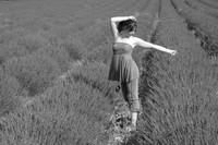 Lavender Field