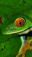 20230912_185227[1]
