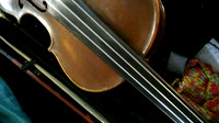 The family violin