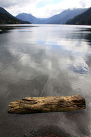 Crescent Lake Floating Log
