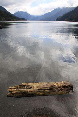 Crescent Lake Floating Log