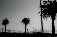 San Francisco Pictures