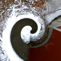 rwy7868660490634535385.007