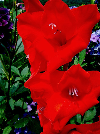 IMG_20130728_113239