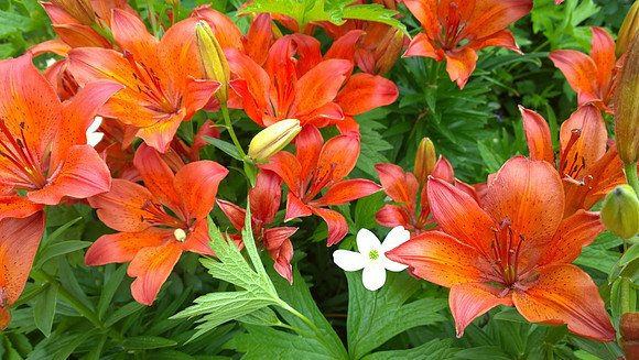 WP_20140624_12_56_22_Pro__highres