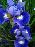 IMG_20130527_175114