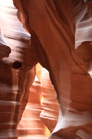 Antelpoe Canyon under the rim