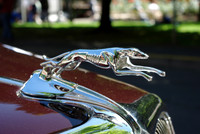 36 Ford