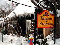 bridge of flowers - winter 02