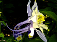 IMG_20130527_180531